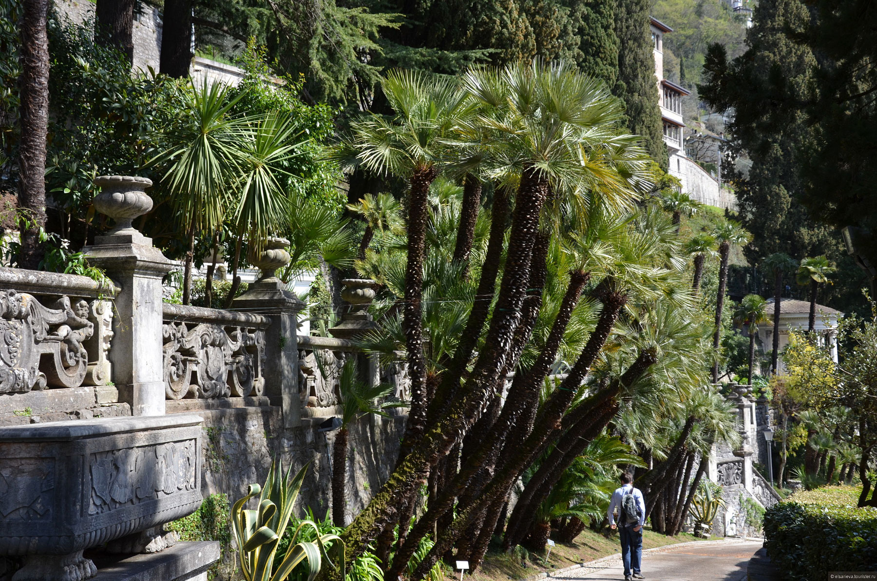 Villa Monastero, Varenna